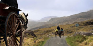 날개 달린 시간 마차 달려온다!