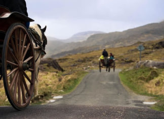 날개 달린 시간 마차 달려온다!