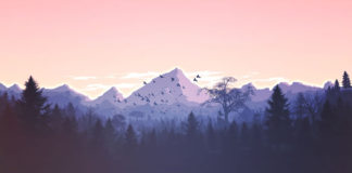 2월 첫째 주 찬송/2월 둘째 주 찬송