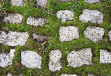 거룩함은 더하기가 아니라 빼기이다