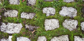 거룩함은 더하기가 아니라 빼기이다