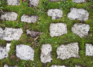 거룩함은 더하기가 아니라 빼기이다