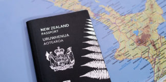 뉴질랜드와의 인연