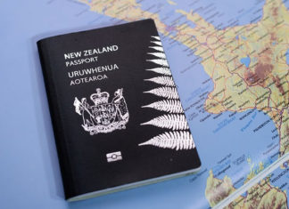 뉴질랜드와의 인연