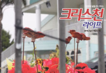 크라이스트처치 이슬람 사원 총기 사건 위한 기도