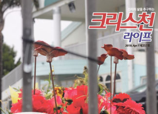 크라이스트처치 이슬람 사원 총기 사건 위한 기도