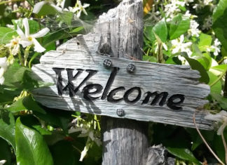 “환영!공식적인 한국의 이민자,나의 친구들”