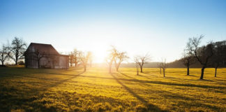 광야 학교 커리큘럼