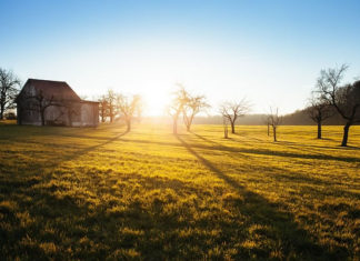 광야 학교 커리큘럼