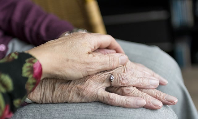 부모를 공경하라