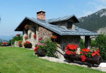 개미 역사로 집 짓고…수상 만찬에도 초대돼