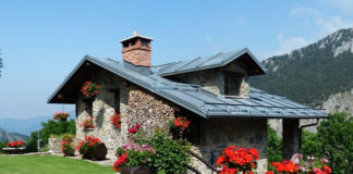 개미 역사로 집 짓고…수상 만찬에도 초대돼