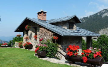 개미 역사로 집 짓고…수상 만찬에도 초대돼