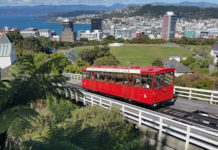 ‘무브먼트 데이’ 웰링턴에서 열려