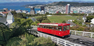 ‘무브먼트 데이’ 웰링턴에서 열려