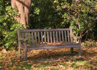 막연한 기대와 마주한 현실