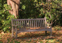 막연한 기대와 마주한 현실