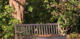 막연한 기대와 마주한 현실