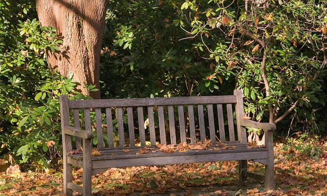 막연한 기대와 마주한 현실