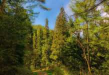 산 속 마을의 아이들