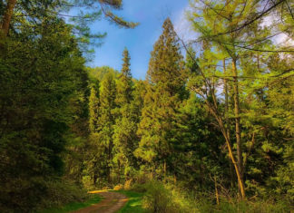 산 속 마을의 아이들
