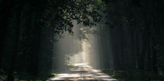 죄의 파멸성과 거룩의 길