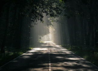 죄의 파멸성과 거룩의 길