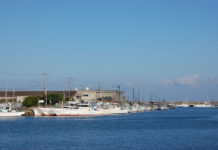 1984년 3월 11일, NZ 첫 한인연합교회 설립의 산 증인