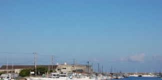 1984년 3월 11일, NZ 첫 한인연합교회 설립의 산 증인