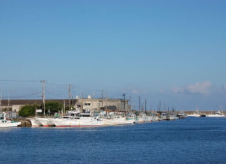 1984년 3월 11일, NZ 첫 한인연합교회 설립의 산 증인