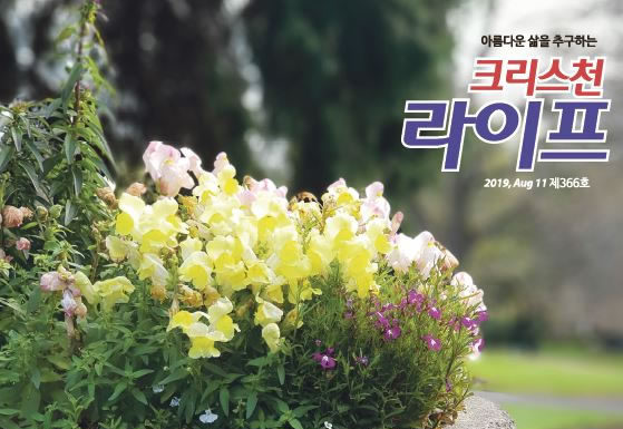 366호 라이프