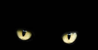 에드거 앨런 포의 “검은 고양이”