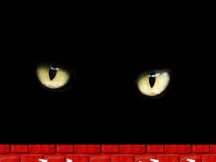 에드거 앨런 포의 “검은 고양이”