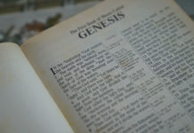 “삼구이칠육육! 392766!”