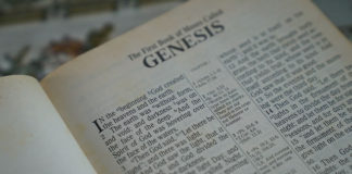 “삼구이칠육육! 392766!”