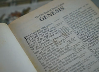 “삼구이칠육육! 392766!”