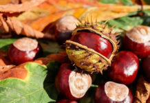 “그는 아주 떫은 사람이었다”