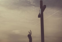 뉴질랜드 교회를 위한 중보기도 필요