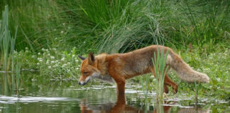 “거울아 거울아”