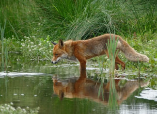 “거울아 거울아”