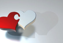 돌 같은 마음 살 같은 마음