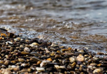 강바닥을 지키는 자여! 돌을 메고 나오는 자여!