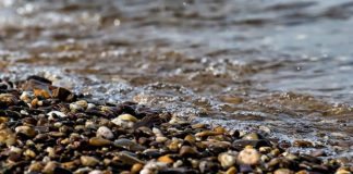 강바닥을 지키는 자여! 돌을 메고 나오는 자여!