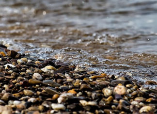 강바닥을 지키는 자여! 돌을 메고 나오는 자여!