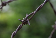 분단의 비극은 언제 끝날 것인가