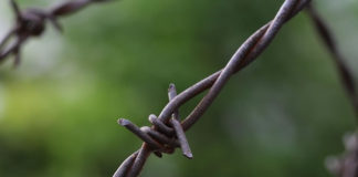 분단의 비극은 언제 끝날 것인가