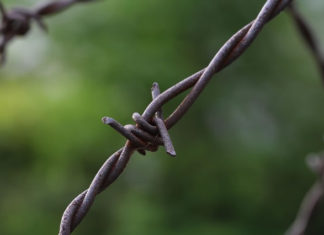 분단의 비극은 언제 끝날 것인가