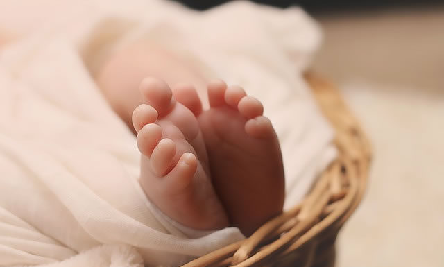 이민자로 아기 낳기