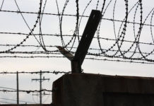 한해를 되돌아보며