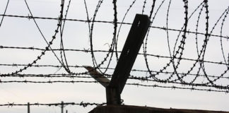 한해를 되돌아보며